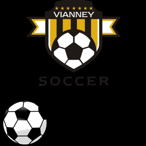 Vianney Soccer GIF by St. John Vianney High School