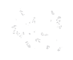 Basketball Love Sticker by kes-basket