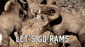 Rams meme gif