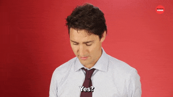 Justin Trudeau Yes GIF by BuzzFeed