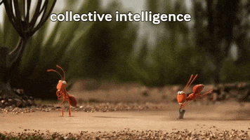Teamwork GIF