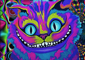 Alice In Wonderland Cat GIF