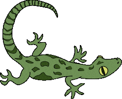 Summer Camp Gecko Sticker by Rock City Church