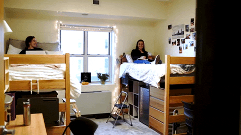 Roommates Move In GIF by James Madison University - Find & Share on GIPHY