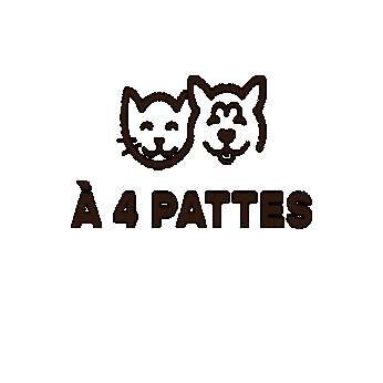 À 4 PATTES PARIS Sticker