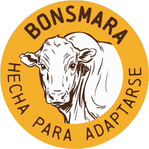 Campo Toro Sticker by Bonsmara Argentina