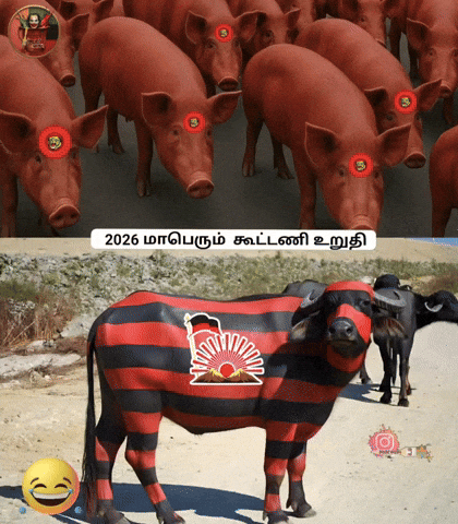 Dmk Ntk GIF