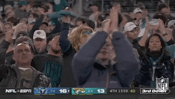 Jacksonville Jaguars Football GIF by NFL
