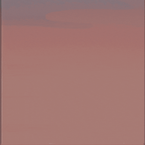 Independence Day Animation GIF by Los Campesinos!