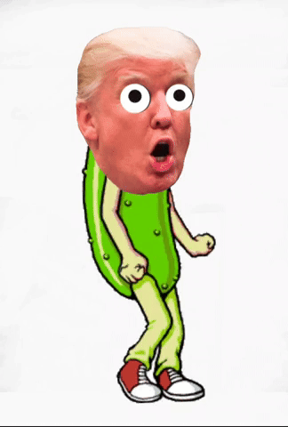 Trump GIF