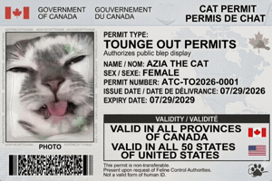 Cat Meme GIF
