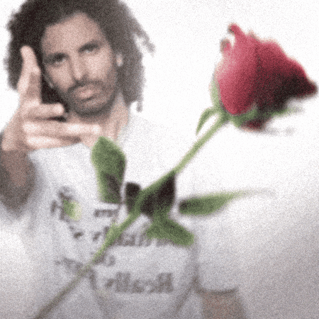 Rose Love GIF by Zinzinsoumax