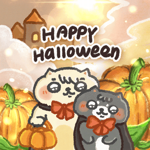Trick Or Treat Cat GIF