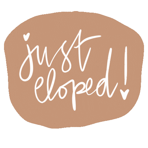 The Lang Co. Sticker