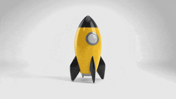 Rocket Foguete GIF by ACCT
