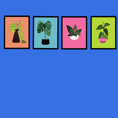Frame GIF