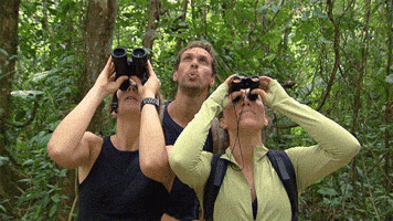 Bed And Breakfast Bb GIF by RTL