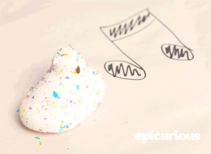 Girls Chicks GIFs - Get the best GIF on GIPHY