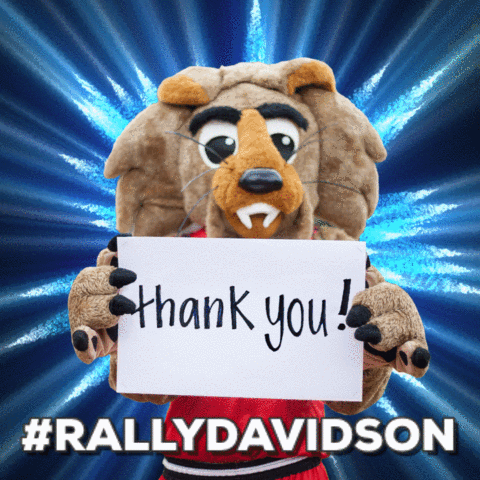 #rallydavidson #givedavidson GIF by Davidson College