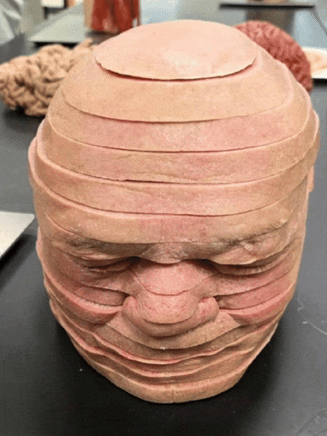 Trying Not To Laugh Funny Face GIF