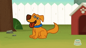 dogs pets GIF by Super Simple