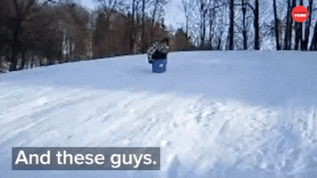 Snow Fail GIF by BuzzFeed