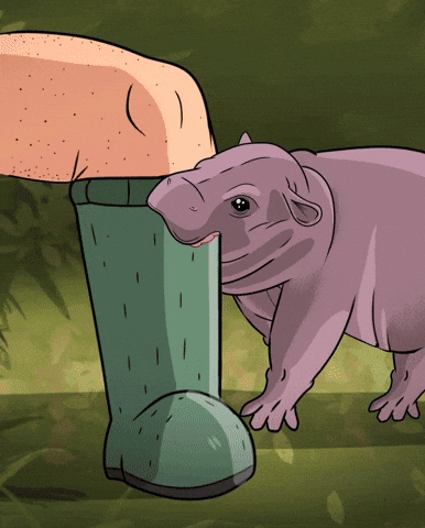 Hippo GIF