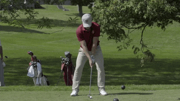 Golf Drive GIF by Colgate Athletics