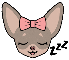 Chihuahua Sleeping Sticker