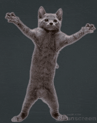 Happy Dancing GIF - Happy Dancing Cute - Discover & Share GIFs | Cute anime  cat, Kawaii cat drawing, Cute cat gif