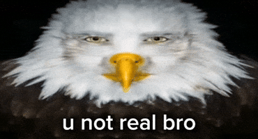 No Way Seriously GIF