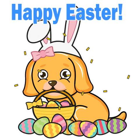 Happy Easter Bunny GIF by MyMorningDog