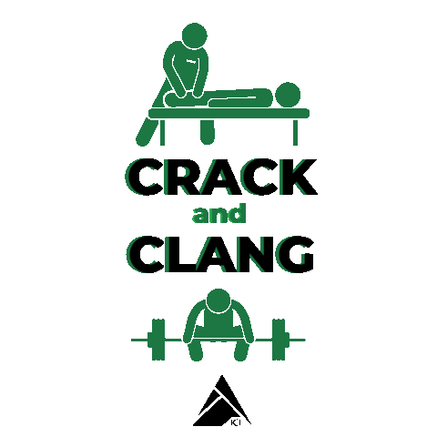 icephysio Sticker