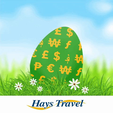 happy money GIF by Hays Travel
