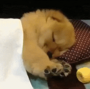 GIF uploaded by Michael