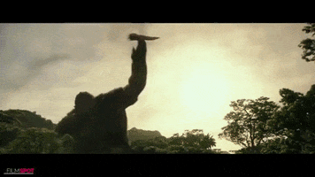 Monkeyjay GIF