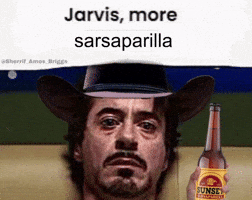 Fallout Jarvis GIF