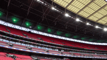 Wembley Stadium GIF by Salford City FC