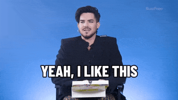 I Like This Adam Lambert GIF by BuzzFeed