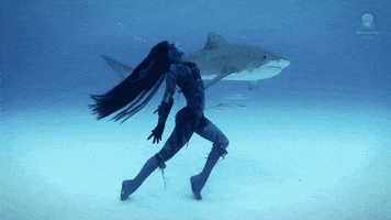 shark dancer gif