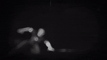 Free Fire GIF