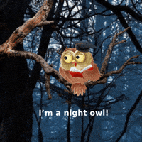 Cute Owl Good Night GIF