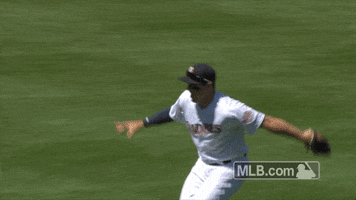 San Diego Padres Win GIF by MLB