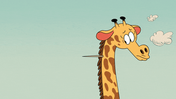 Cartoons Zoo GIF by Nickelodeon