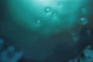 Plastikiller animation water bubbles stopmotion GIF