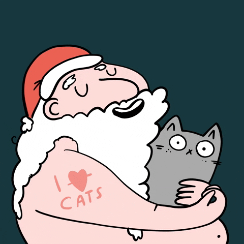 Christmas Cats GIF by Franziska Höllbacher
