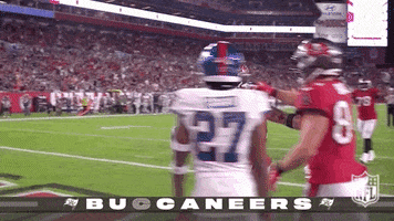 Take It Tampa Bay Buccaneers GIF by NFL