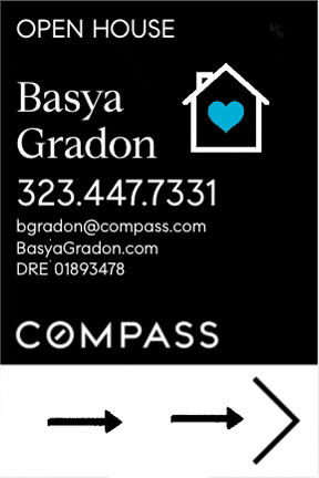 Basya Gradon GIF