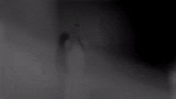 matteovinti london opera royaloperahouse GIF