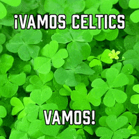 Boston Celtics Sport GIF by Sealed With A GIF